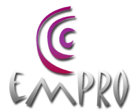 Empro SEO services